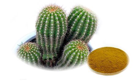 Hoodia gordoni ca parte a Reduslim