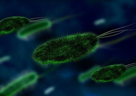 cauza gastritei este o bacterie - Helicobacter